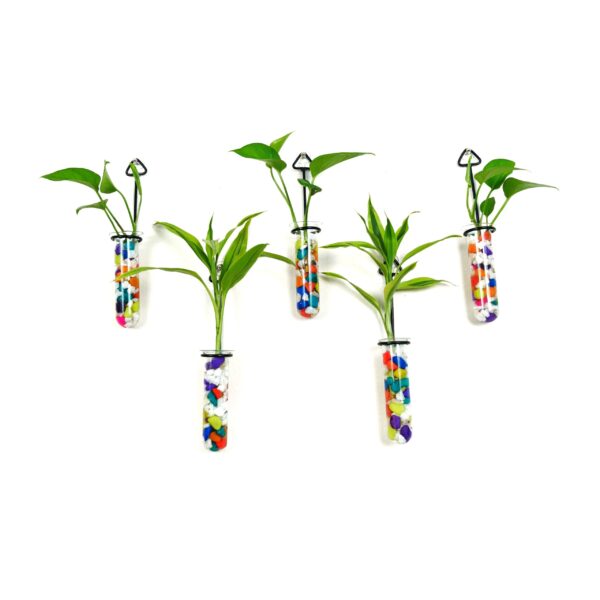 Metal Hanging 5 Piece Combo Tube Planter for Hydroponic Plants Home and Office Decoration with Colorful Stone
