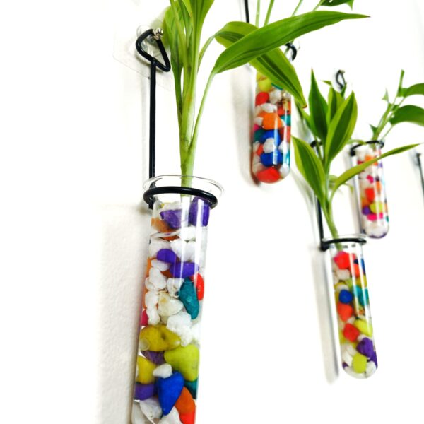 Metal Hanging 5 Piece Combo Tube Planter for Hydroponic Plants Home and Office Decoration with Colorful Stone