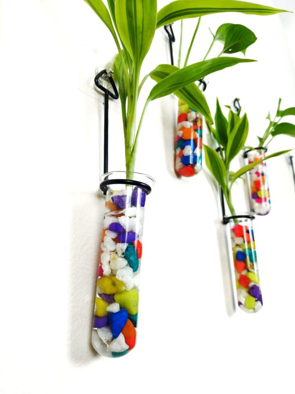 Metal Hanging 5 Piece Combo Tube Planter for Hydroponic Plants Home and Office Decoration with Colorful Stone
