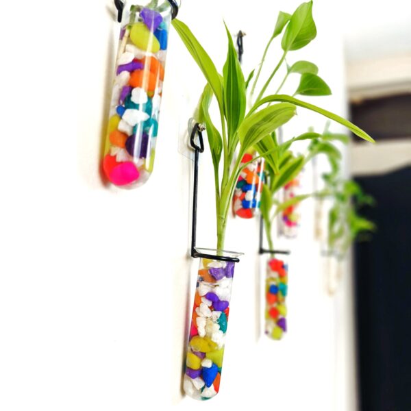 Metal Hanging 5 Piece Combo Tube Planter for Hydroponic Plants Home and Office Decoration with Colorful Stone