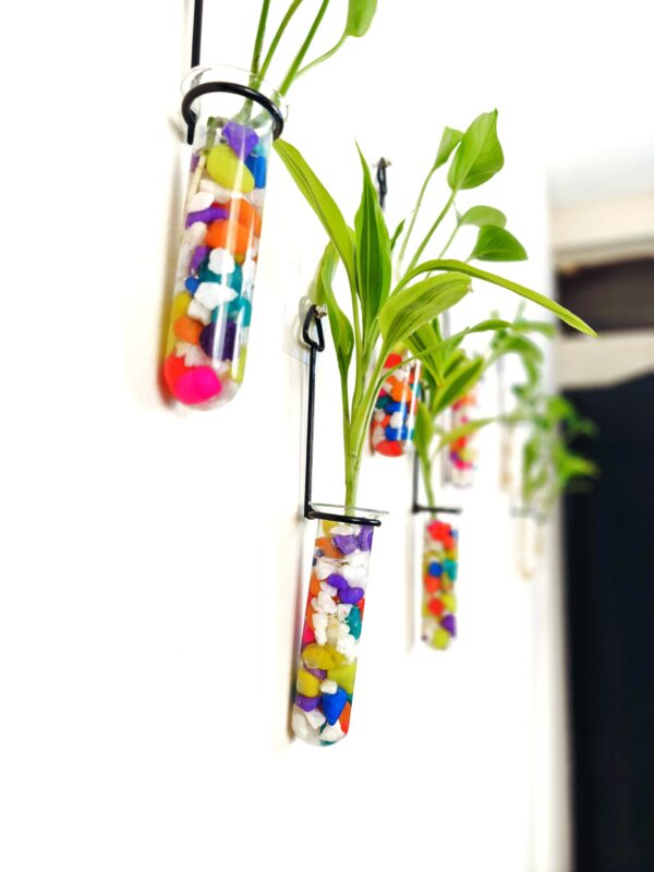 Metal Hanging 5 Piece Combo Tube Planter for Hydroponic Plants Home and Office Decoration with Colorful Stone