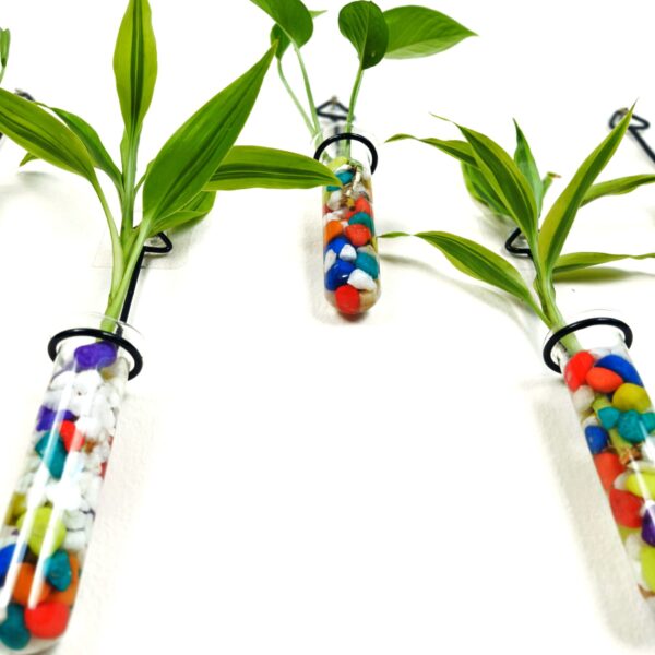 Metal Hanging 5 Piece Combo Tube Planter for Hydroponic Plants Home and Office Decoration with Colorful Stone