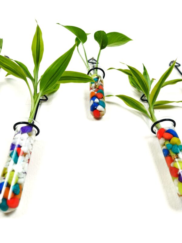 Metal Hanging 5 Piece Combo Tube Planter for Hydroponic Plants Home and Office Decoration with Colorful Stone
