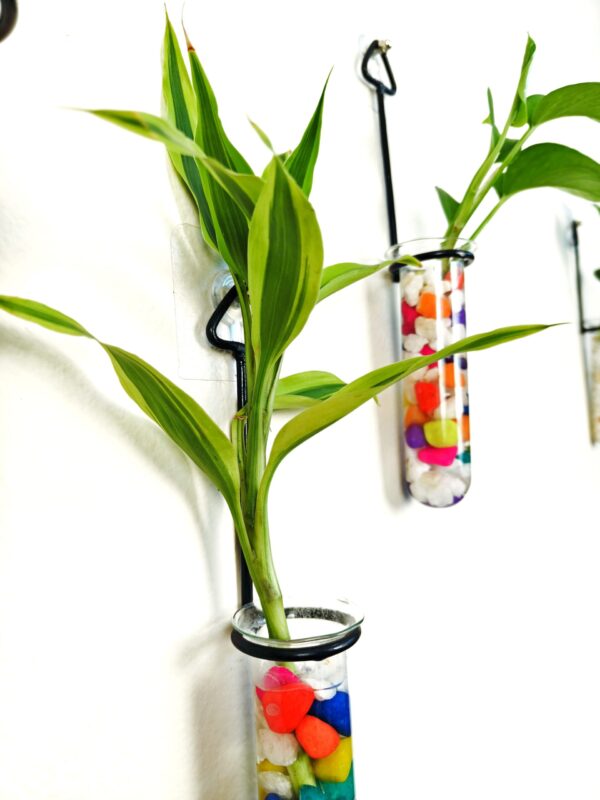 Metal Hanging 5 Piece Combo Tube Planter for Hydroponic Plants Home and Office Decoration with Colorful Stone