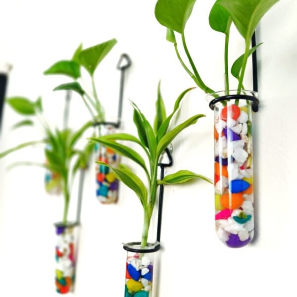 Metal Hanging 5 Piece Combo Tube Planter for Hydroponic Plants Home and Office Decoration with Colorful Stone