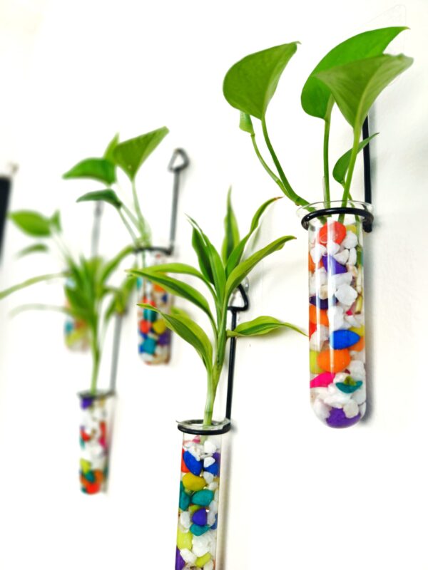 Metal Hanging 5 Piece Combo Tube Planter for Hydroponic Plants Home and Office Decoration with Colorful Stone