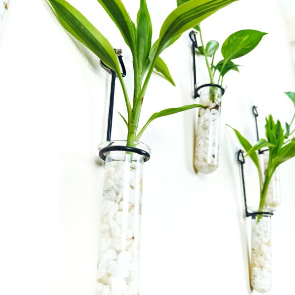 Metal Hanging 5 Piece Combo Tube Planter for Hydroponic Plants Home and Office Decoration with Natural White Stone