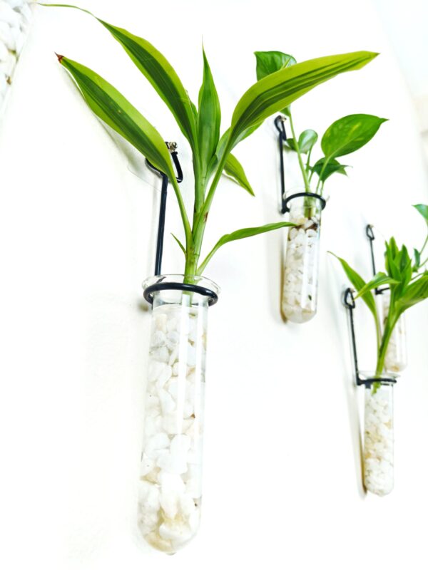 Metal Hanging 5 Piece Combo Tube Planter for Hydroponic Plants Home and Office Decoration with Natural White Stone