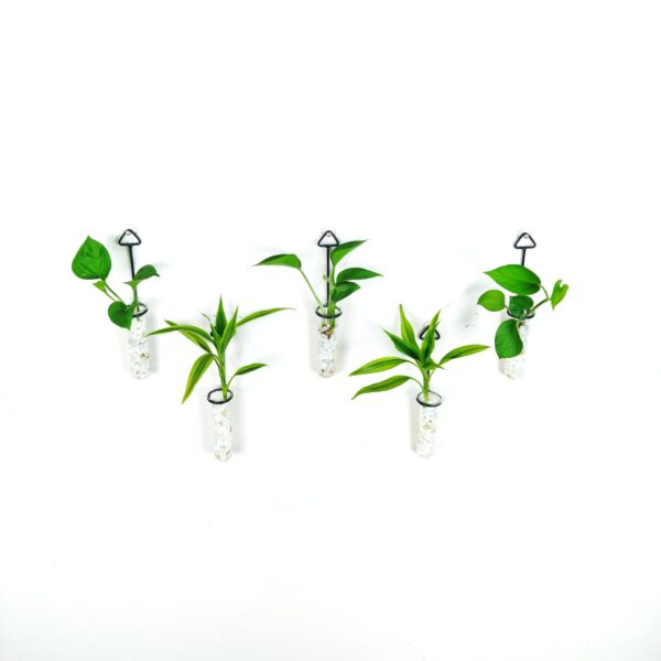 Metal Hanging 5 Piece Combo Tube Planter for Hydroponic Plants Home and Office Decoration with Natural White Stone