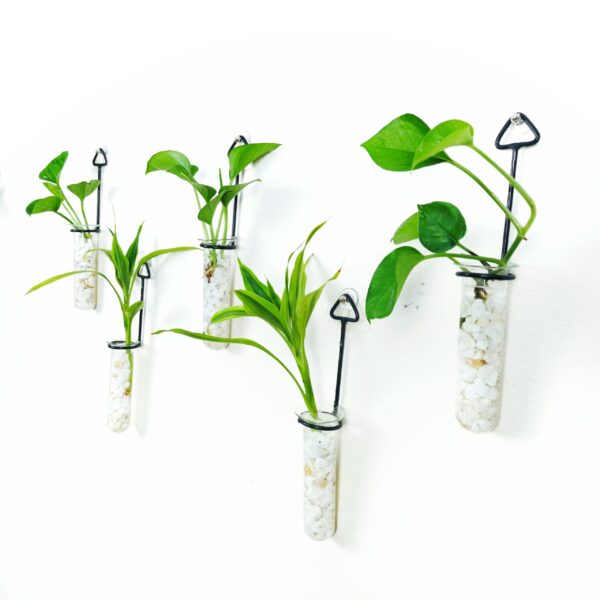 Metal Hanging 5 Piece Combo Tube Planter for Hydroponic Plants Home and Office Decoration with Natural White Stone