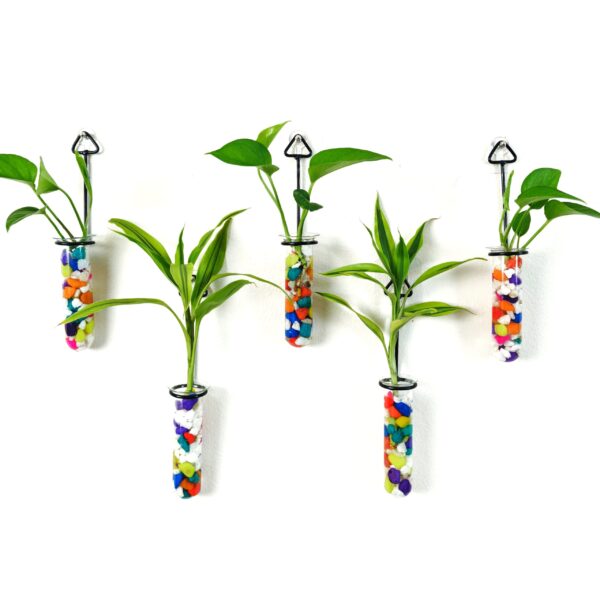 Metal Hanging 5 Piece Combo Tube Planter for Hydroponic Plants Home and Office Decoration with Colorful Stone