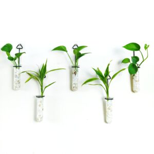 Metal Hanging 5 Piece Combo Tube Planter for Hydroponic Plants Home and Office Decoration with Natural White Stone