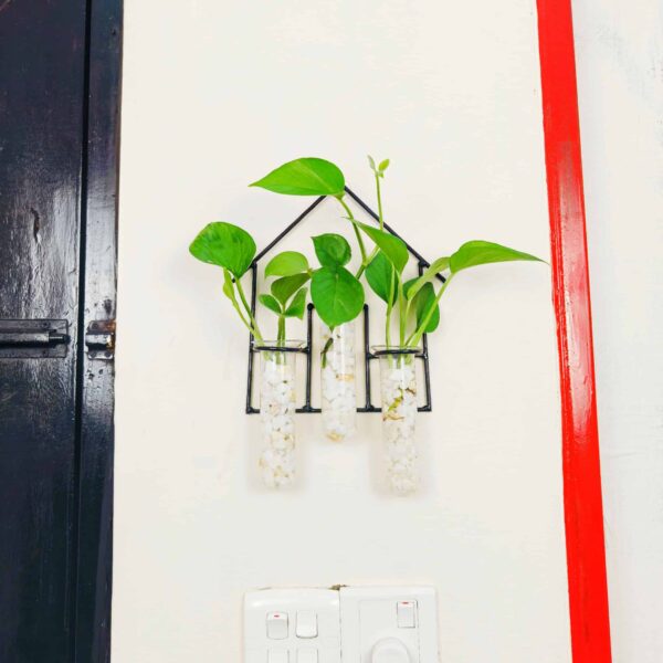 Home Design Metal Hanging Tube Planter for Hydroponic Plants Home and Office Decoration with Natural White Stone