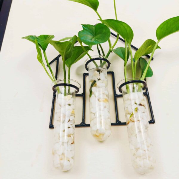 Home Design Metal Hanging Tube Planter for Hydroponic Plants Home and Office Decoration with Natural White Stone