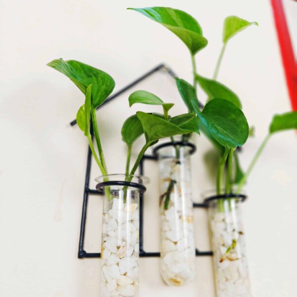 Home Design Metal Hanging Tube Planter for Hydroponic Plants Home and Office Decoration with Natural White Stone