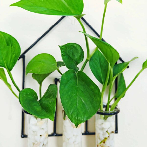 Home Design Metal Hanging Tube Planter for Hydroponic Plants Home and Office Decoration with Natural White Stone