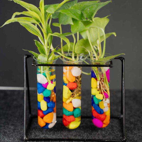 Metal Desk Tube Planter for Hydroponic Plants Home and Office with Colorful Stone