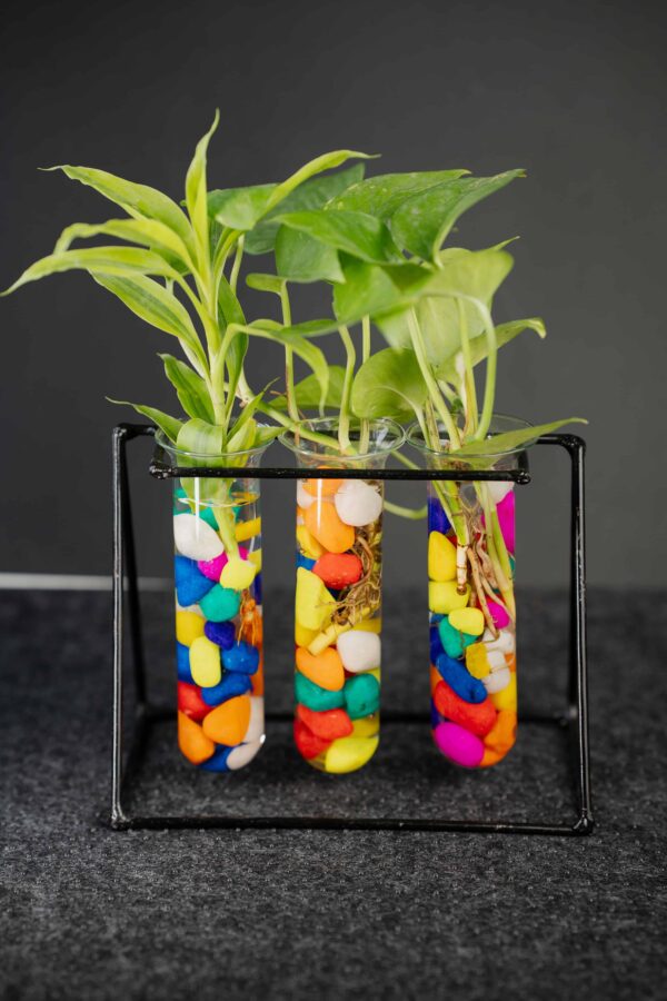 Metal Desk Tube Planter for Hydroponic Plants Home and Office with Colorful Stone