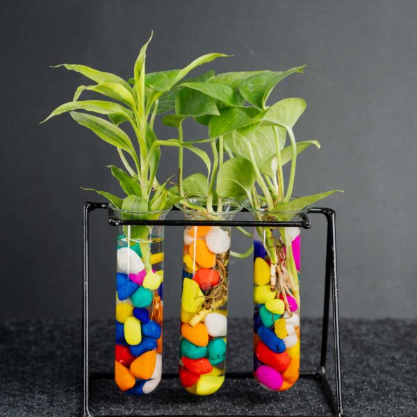 Metal Desk Tube Planter for Hydroponic Plants Home and Office with Colorful Stone