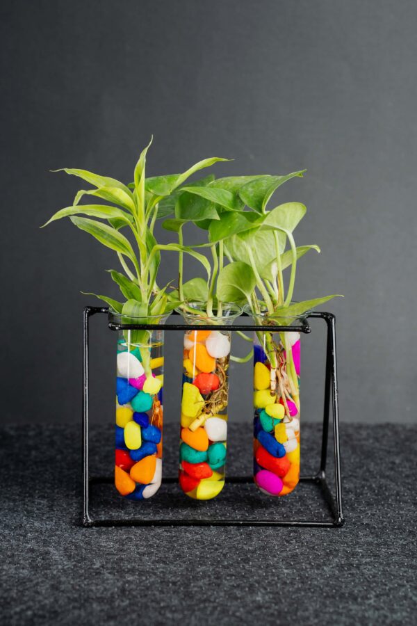 Metal Desk Tube Planter for Hydroponic Plants Home and Office with Colorful Stone