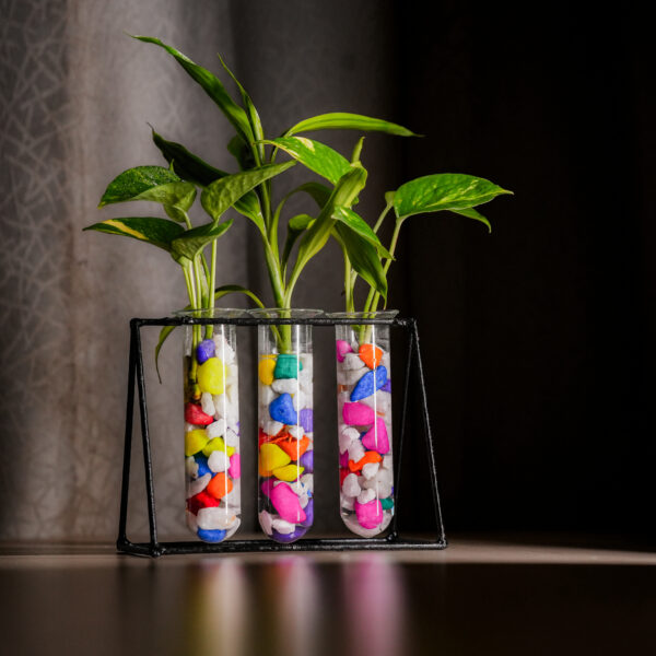 Metal Desk Planter 3 Tube With Mix Color-Stone and Golden Pothos and Lucky Bamboo