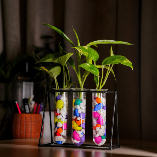 Metal Desk Planter 3 Tube With Mix Color-Stone and Golden Pothos and Lucky Bamboo